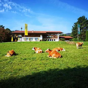 Berggasthof Niederalm Bad Reichenhall